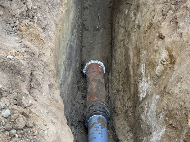 Best Basement water damage restoration  in East Alton, IL