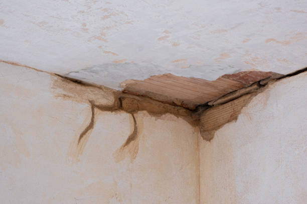 Best 24/7 water damage repair  in East Alton, IL