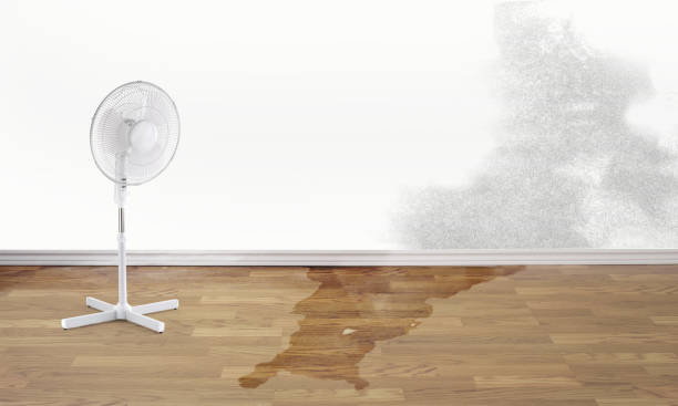 Best Water damage restoration near me  in East Alton, IL